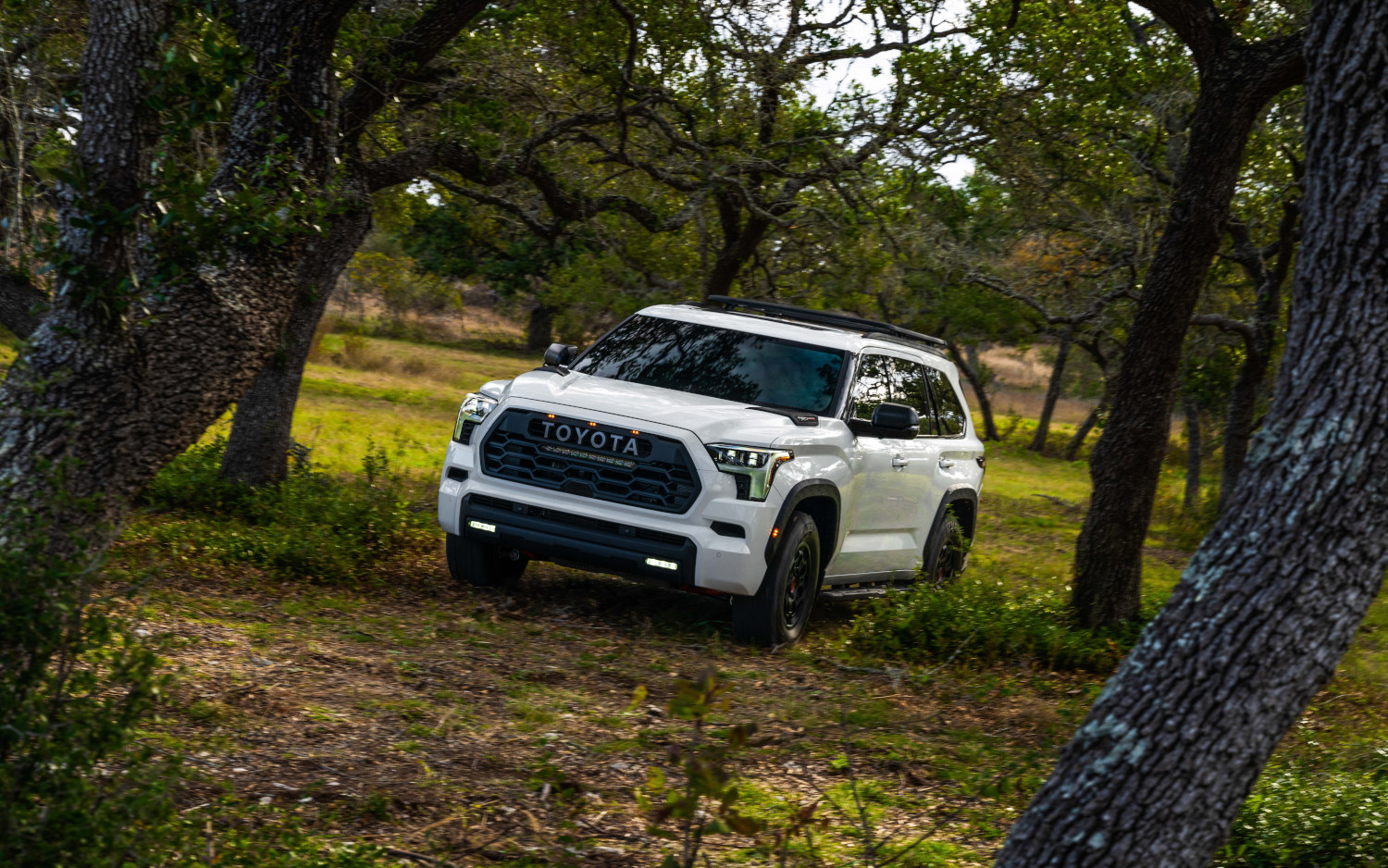 Comparison Toyota Sequoia TRD Pro 2023 vs Toyota Sequoia Capstone